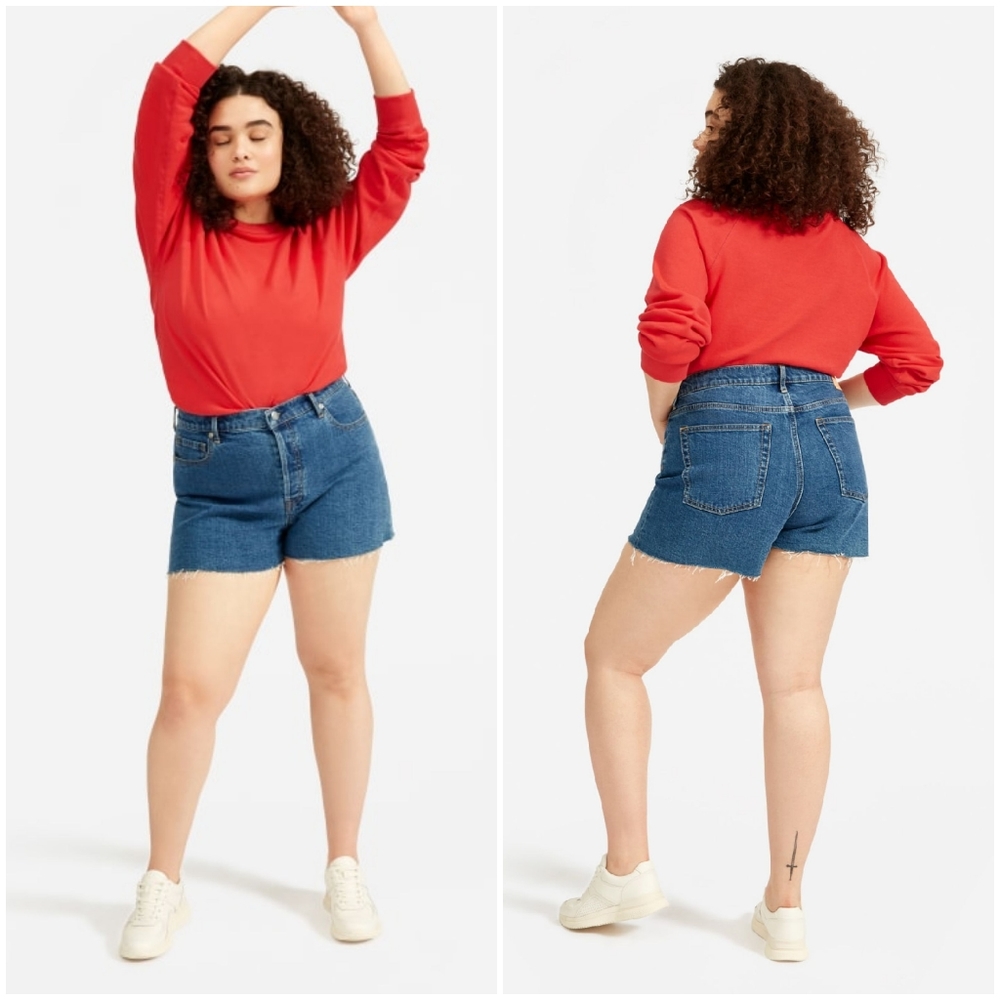 NWOT Everlane The Cheeky Denim Dark Wash Shorts 33